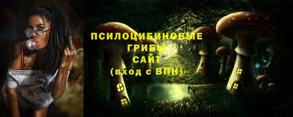 крисы Алексин