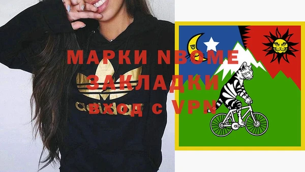 крисы Алексин